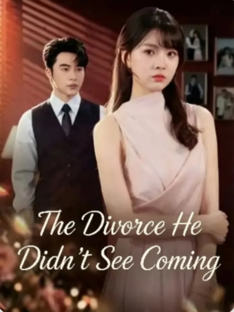The Divorce He Didn't See Coming封面图